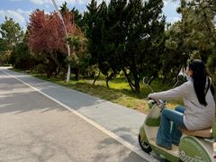 -山东八大碗山东老字号