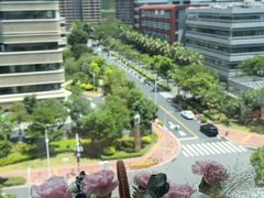 -厦门弘爱医院
