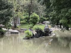 -广西壮族自治区药用植物园