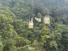 -黔灵山公园