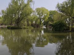 -洛阳市隋唐城遗址植物园