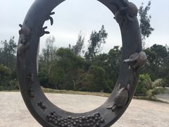 -广东惠东海龟国家级自然保护区