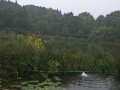 -清真欣思路鲜切涮烤自助火锅