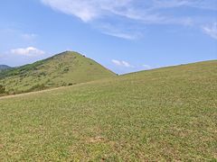 -大姆山草场