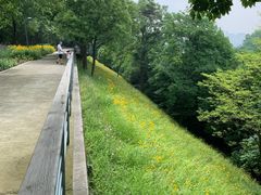 -西湖风景区-江洋畈生态公园