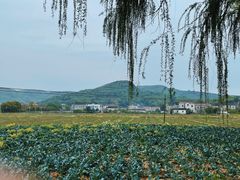 -南北湖风景区