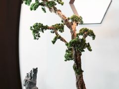 -松鹤楼·非遗·苏帮菜(融科店)