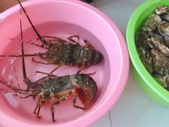 -新农都水产市场