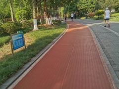 -龙头寺公园