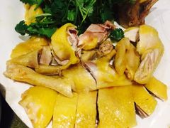 -黄B湛江鸡饭店(粤垦路店)