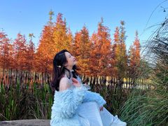 -白鹭湾湿地公园