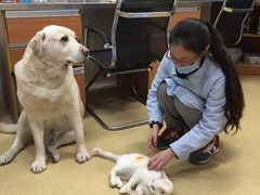 -爱侣宠医·鹦鹉专科·小型哺乳类·异宠专科(灵石路店)