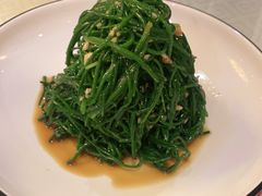 -新疆兵团食府清真(马连道店)