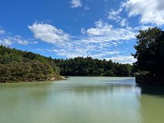 -广州白江湖森林公园