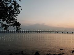 -宝安西湾红树林湿地公园