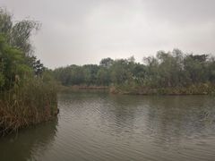 -梁鸿国家湿地公园