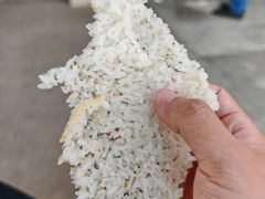 -小六农家乐(崇明西沙湿地店)