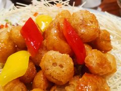 -顺德了能馆(虎门店)
