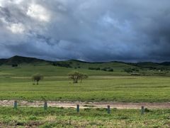 -塞罕坝国家级自然保护区