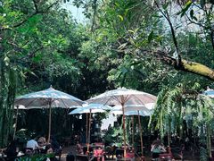 -Fern Forest Cafe