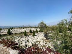 -原山国家森林公园