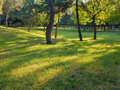 -森林公园(尖草坪区)