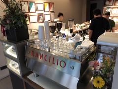 -Punchline Coffee&Roaster(同济大学店)