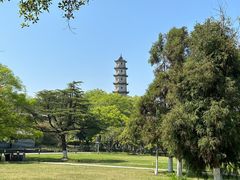 -江心屿景区