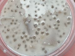 -钟姨糖水(惠城店)