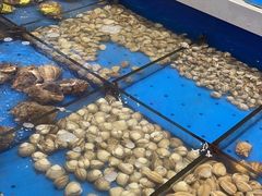 -北塘海鲜·天津菜(大光明桥旗舰店)