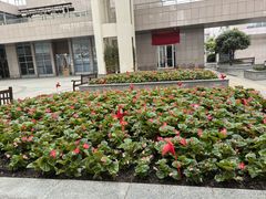 -泰康之家·申园