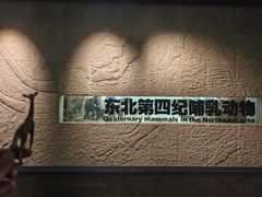 -大庆市博物馆