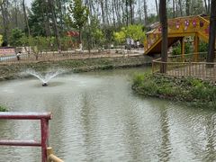 -合肥滨湖国家森林公园