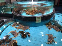 -西贝海鲜汇(槐安路店)