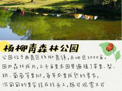 -塘沽森林公园