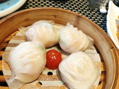 -新兴·金羊座·粤菜点心(乐峰店)