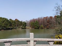 -上海海湾国家森林公园