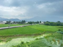 -黄牛肉馆·皖南土菜