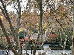 -杭州西湖桔子水晶酒店