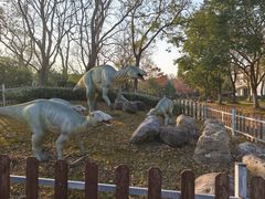 -上海海湾国家森林公园