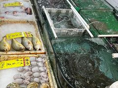 -鸿达渔港