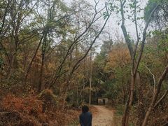 -青龙山国家森林公园