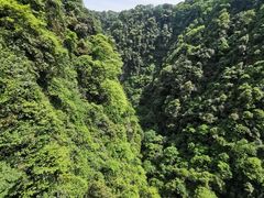 -碧峰峡风景区