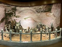 -南越王博物院(王宫展区)