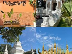 -西双版纳原始森林公园
