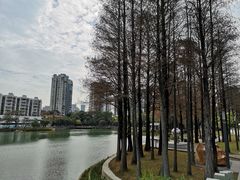-四海公园(南山区)