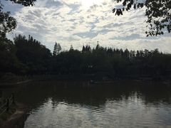 -瀛洲公园