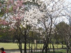景点-上海市龙华烈士陵园