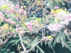 -西安交通大学(雁塔校区)