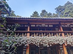 -寂照庵